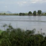 1 South Sudan River Nile (3)