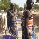 2 South Sudan cattle (75)
